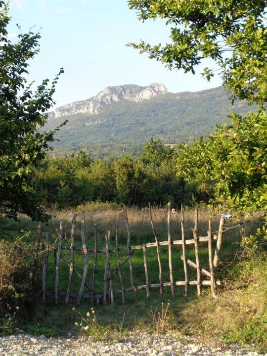 duga_poljana_motiv_3_original